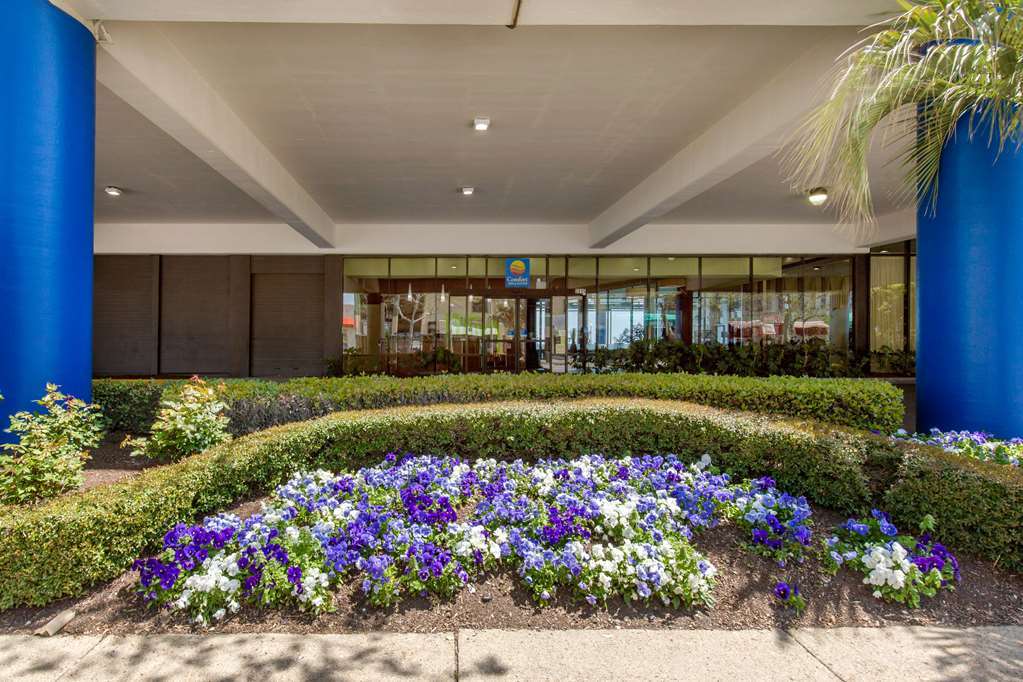 Coastal Hotel & Suites Virginia Beach - Oceanfront Kültér fotó